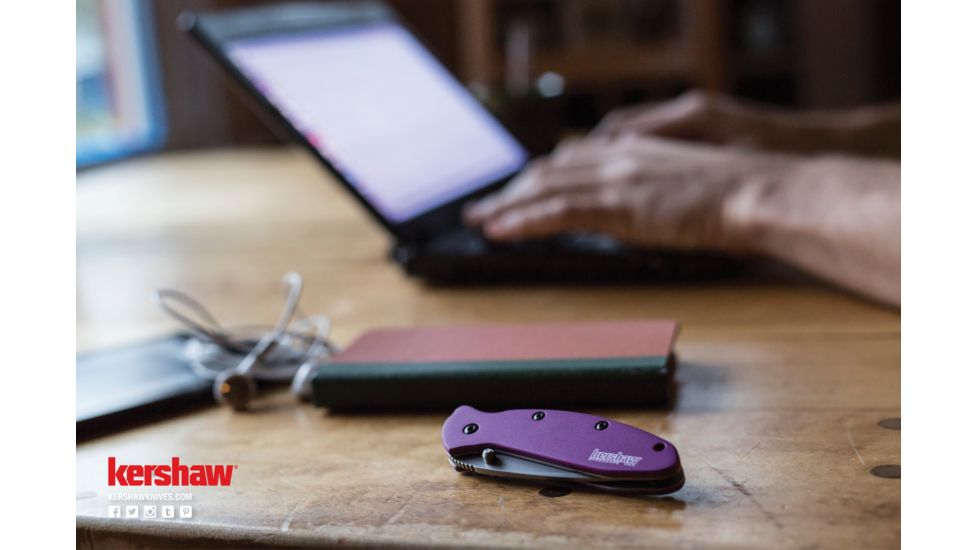 Kershaw Leek Assisted Opening Folding Knife, 3 in, 14C28N, Drop Point Blade, 6061-T6 Aluminum, Purple Handle, 1660PUR