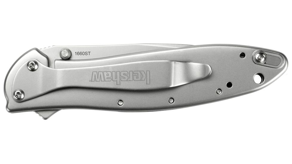 Kershaw Leek Assisted Opening Folding Knife, 3 in, 14C28N, Serrated Drop Point Blade, 410 Stainless Steel, Silver Handle, 1660ST