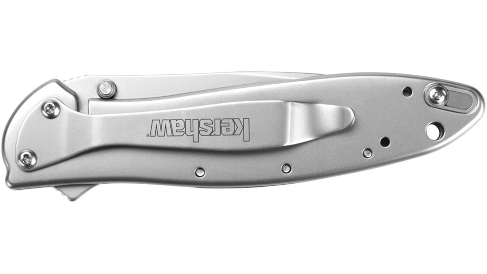 Kershaw Leek Assisted Opening Folding Knife, 3 in, 14C28N, Drop Point Blade, 410 Stainless Steel Handle, Box, 1660
