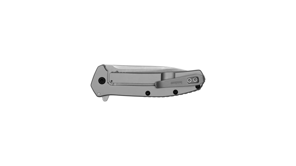 Kershaw Outcome Folding Knife, 2.8 in, D2, Drop Point, Stainless Steel Silver Handle, 2044