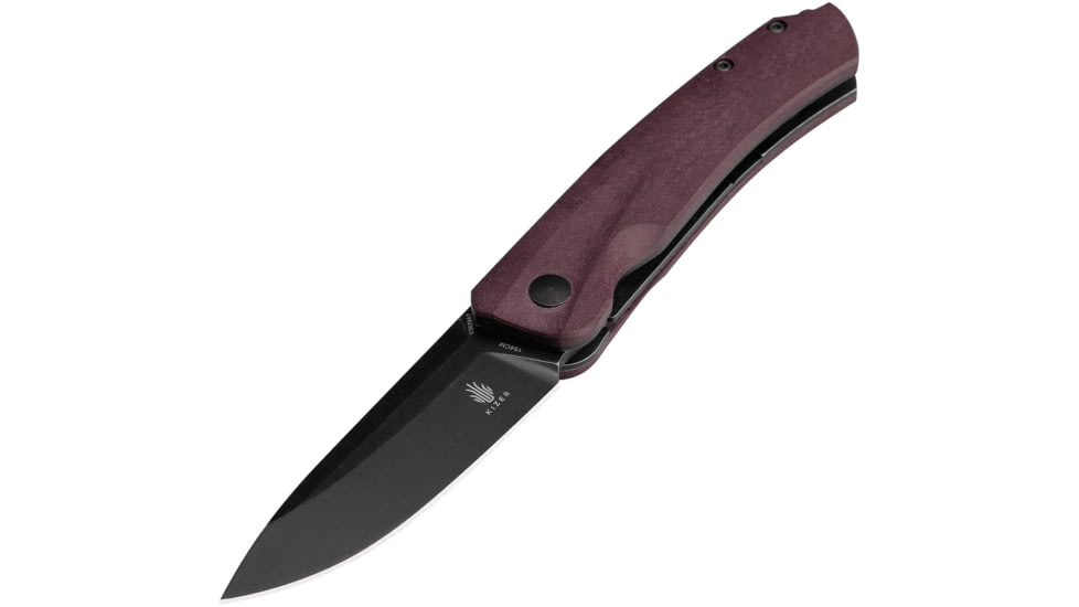 Kizer Cutlery Agressor KIV3629C1