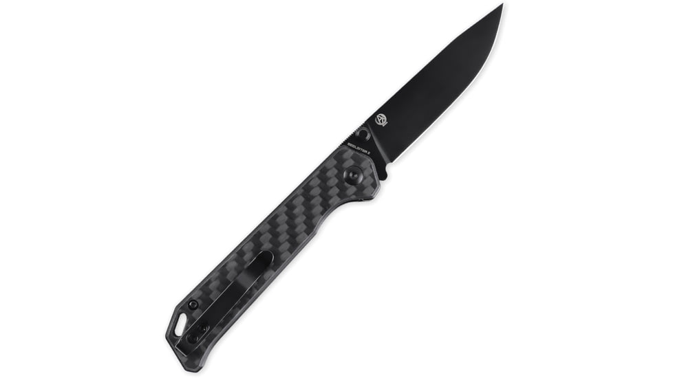 Kizer Cutlery Begleiter Linerlock CF
