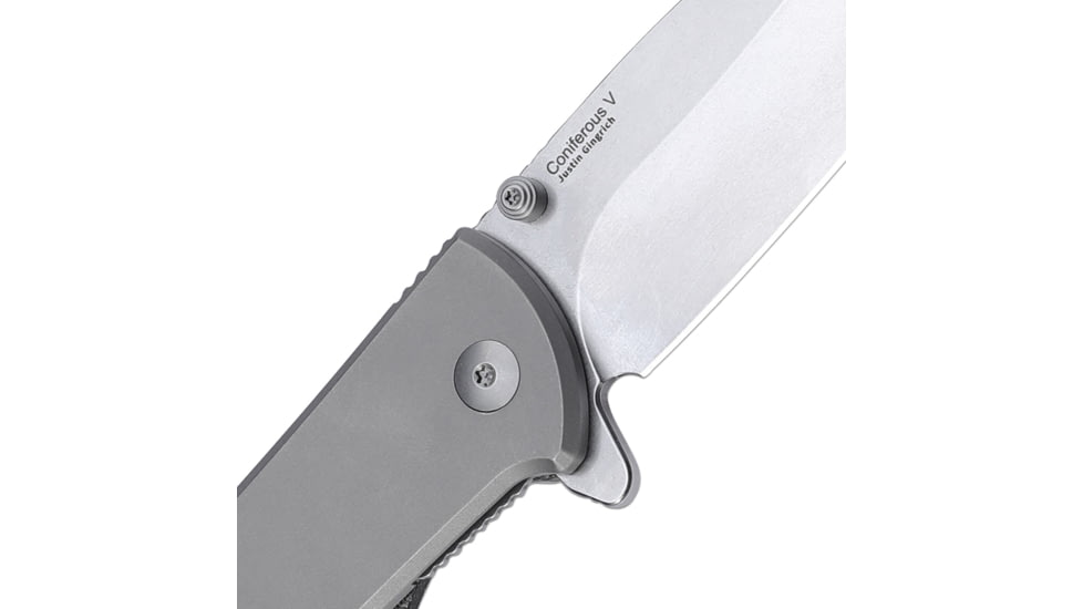 Kizer Cutlery Coniferous V Framelock