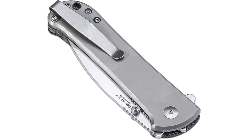 Kizer Cutlery Coniferous V Framelock