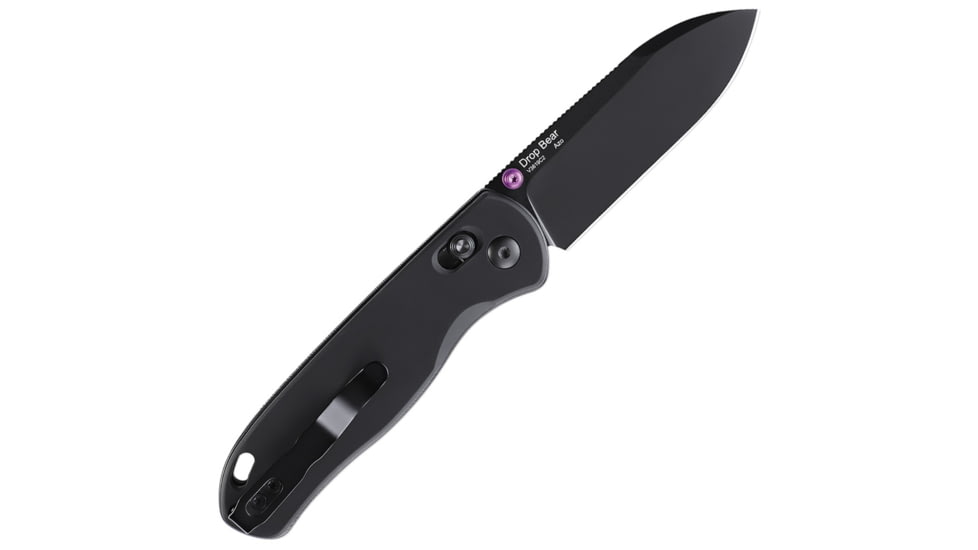 Kizer Cutlery Drop Bear Axis Lock Black
