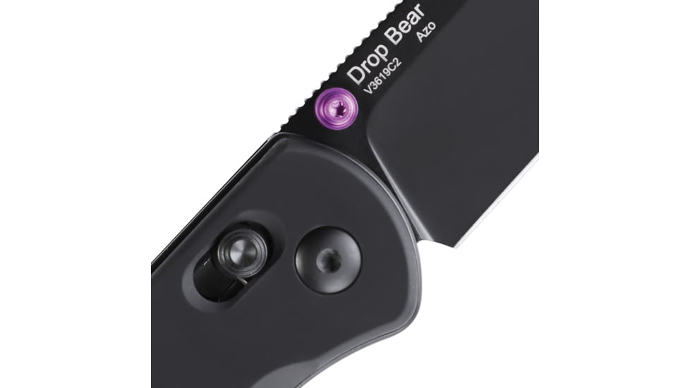 Kizer Cutlery Drop Bear Axis Lock Black