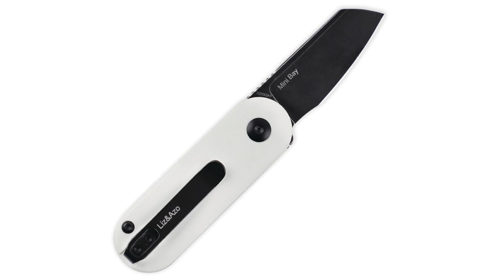 Kizer Cutlery Mini Bay Folder