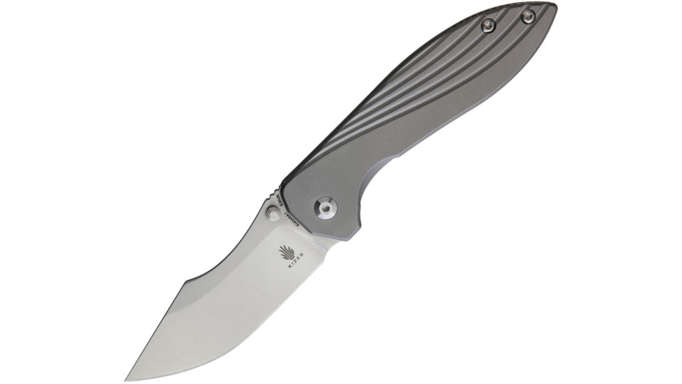 Kizer Cutlery Mini Pelican Framelock