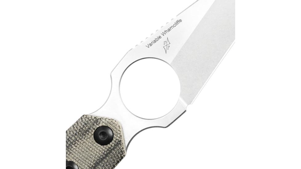 Kizer Cutlery Variable Fixed Blade Wharn