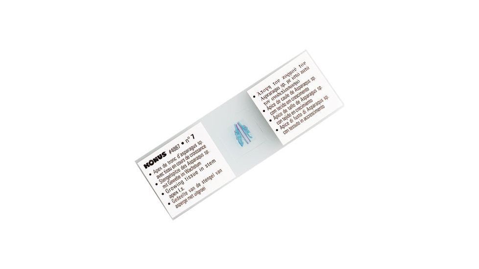 Konus Prepared Slides for Konus Kids Microscopes, Set of 10, Human Body, Normal Tissues, Part 1 4910