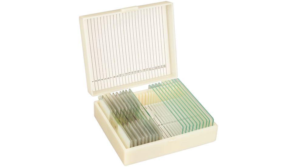 Konus Prepared Slides for Konus Kids Microscopes, Set of 10, Set for Science Teaching 4960