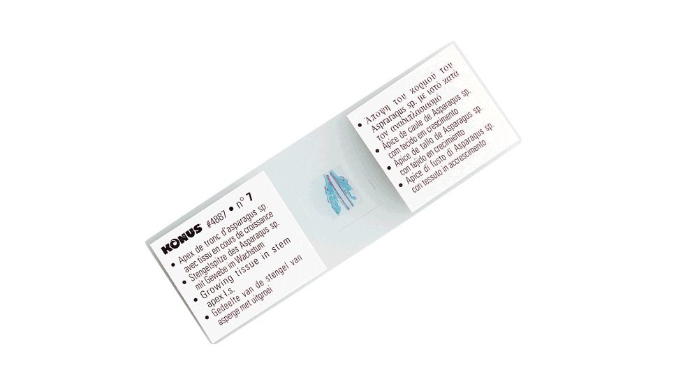 Konus Prepared Slides for Konus Kids Microscopes, Set of 25, Human Body, Structure of Organs 4987
