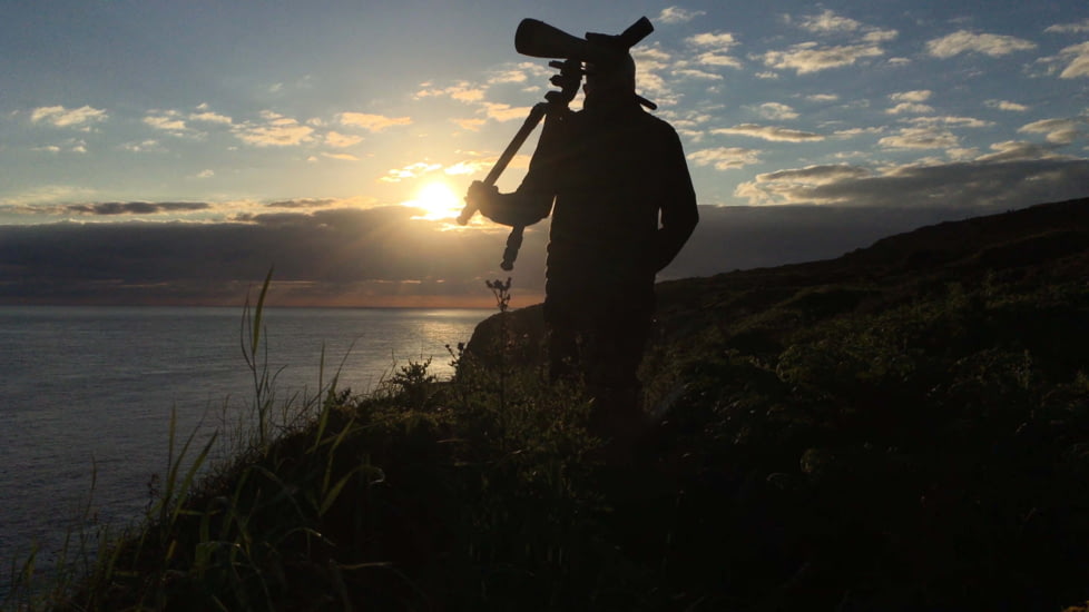 Kowa TSN-99A Pure Fluorite Spotting Scope with TE-11WZ II 30-70x Zoom Eyepiece, Angled, Green, TSN-99A ZM SET