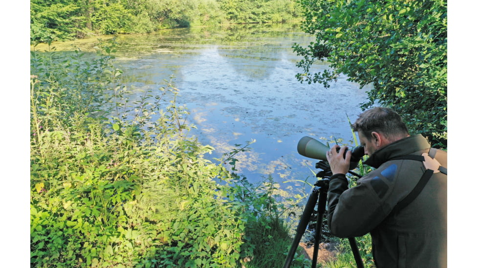 Kowa TSN-99A Pure Fluorite Spotting Scope with TE-11WZ II 30-70x Zoom Eyepiece, Angled, Green, TSN-99A ZM SET