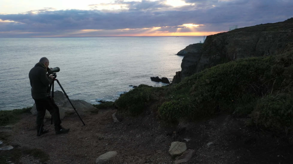 Kowa TSN-99A Pure Fluorite Spotting Scope with TE-11WZ II 30-70x Zoom Eyepiece, Angled, Green, TSN-99A ZM SET