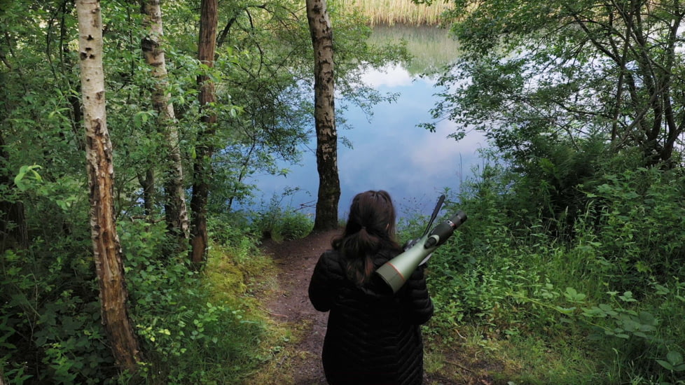 Kowa TSN-99S Pure Fluorite Spotting Scope with TE-11WZ II 30-70x Zoom Eyepiece, Straight, Green, TSN-99S ZM SET