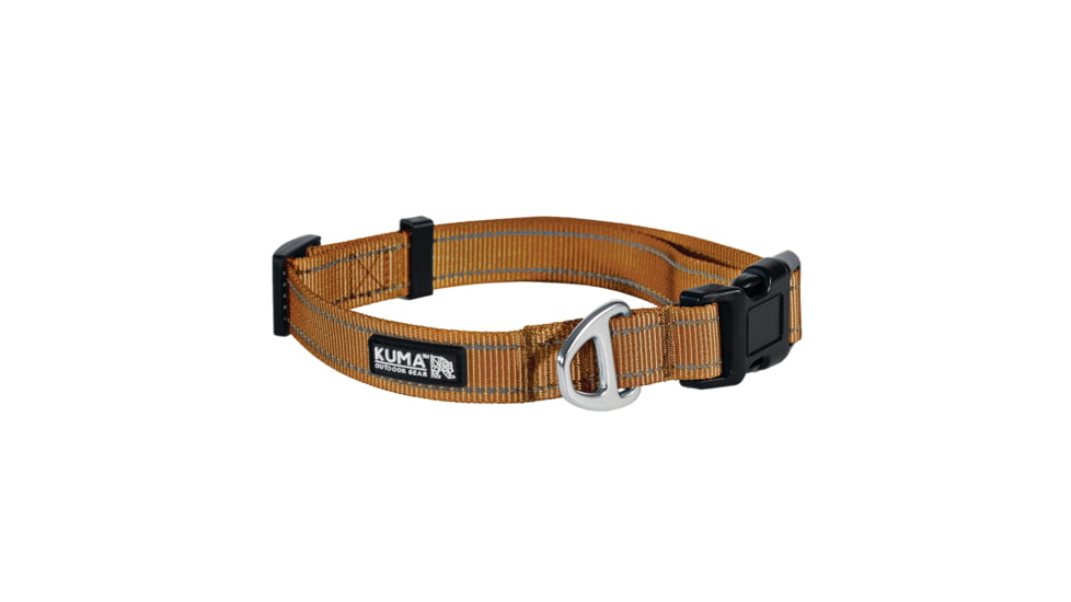Kuma Outdoor Gear Lazy Bear Dog Collar