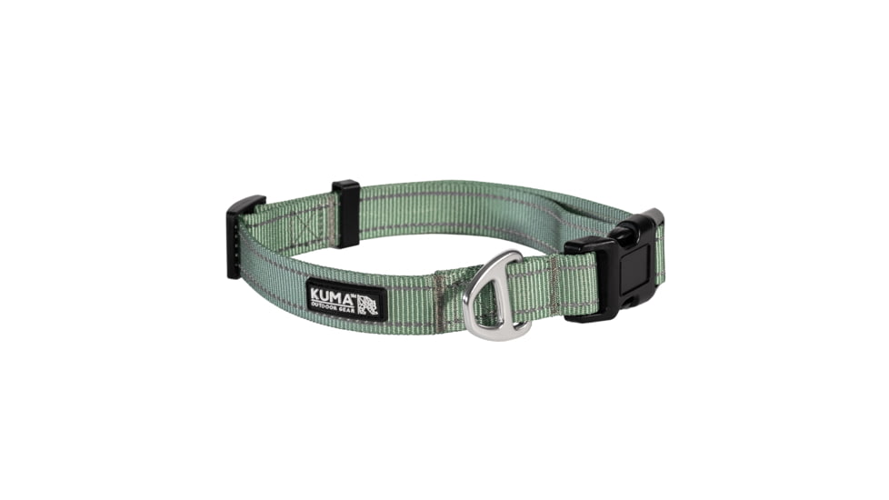 Kuma Outdoor Gear Lazy Bear Dog Collar