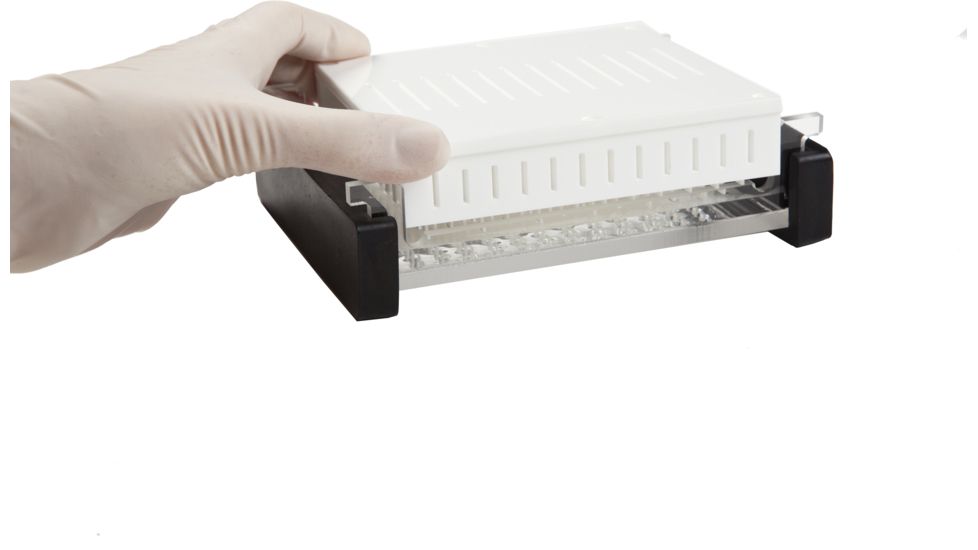 Labnet Midi, 96 Well Tray E1010-96T
