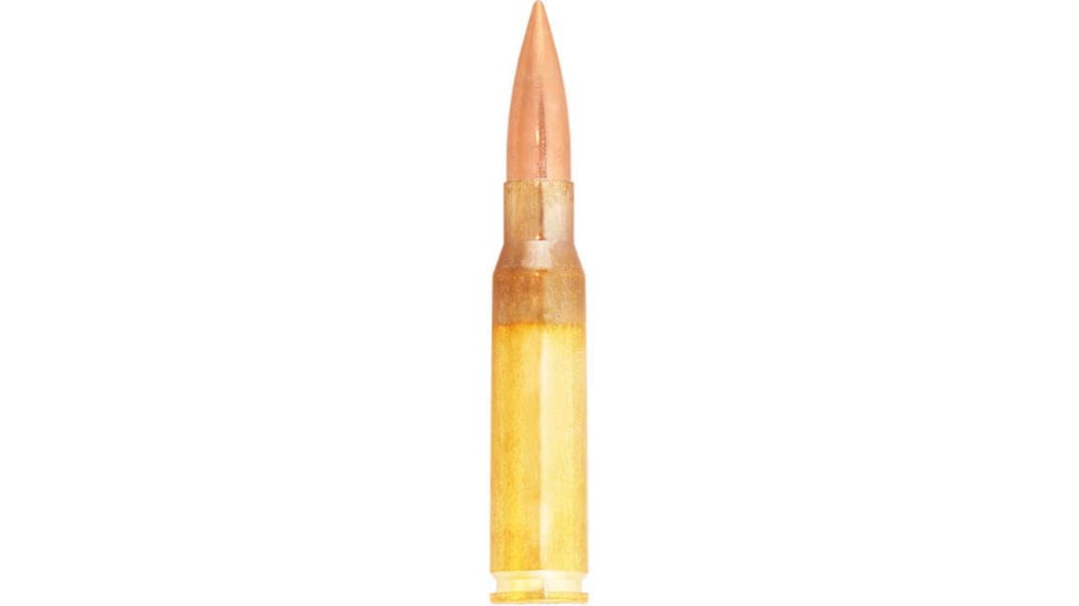 Lapua .308 Winchester 170 Grain Lock Base Brass Cased Rifle Ammunition
