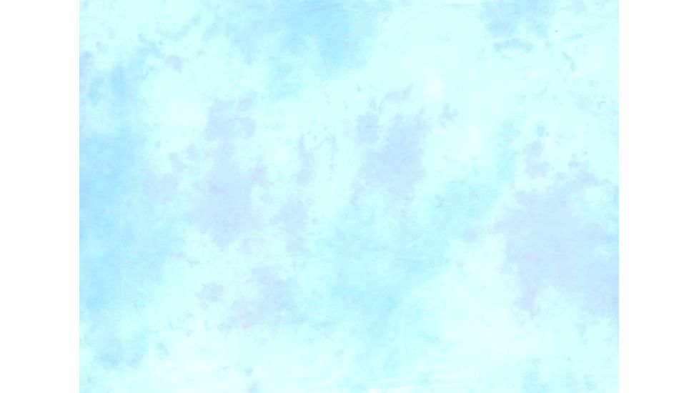 Lastolite 10x12 Washable Muslin Background, Ohio  LLLB7751