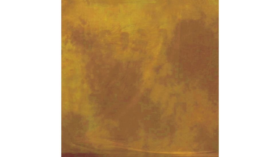 Lastolite 10x24 Washable Muslin Background, Virginia LLLB7843
