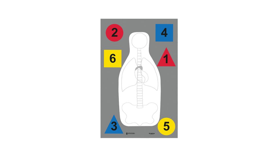 Law Enforcement Targets DT-ANTQ-A MultiPurpose FBI-Q/Vital Anatomy/Commands 23x35 Inch 100 Per Case