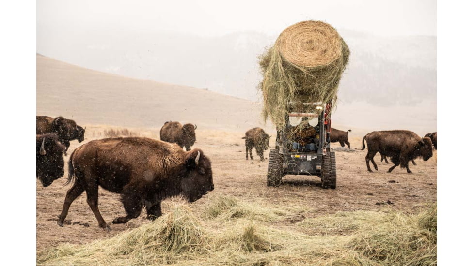 Leatherman Bond 14 Multi-Purpose Tool, Stainless Steel, 832934