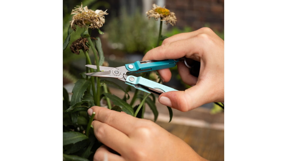 Leatherman Micra Multi-Tool, 1.6in, 420HC Stainless Steel Blade, Parakeet Stainless Steel Handle, 833435