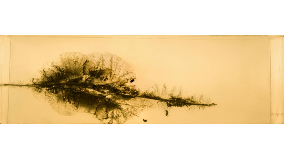 Lehigh Defense .224 Caliber 62 Grain Controlled Chaos Centerfire Rifle Bullets, 50 Rounds, 05224062CuSP