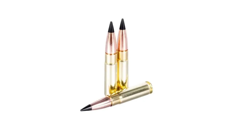 Lehigh Defense 300 Blackout 110 Grain Tipped Maximum Expansion Brass Rifle Ammo, 20 Rounds, LA300BLK-110-TME
