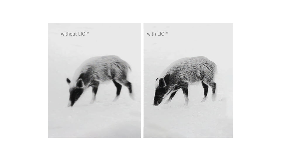 Leica Calonox 2 Sight 1x Thermal Rifle Scope, 60 Hz, 1280 x 960, Black, 50511