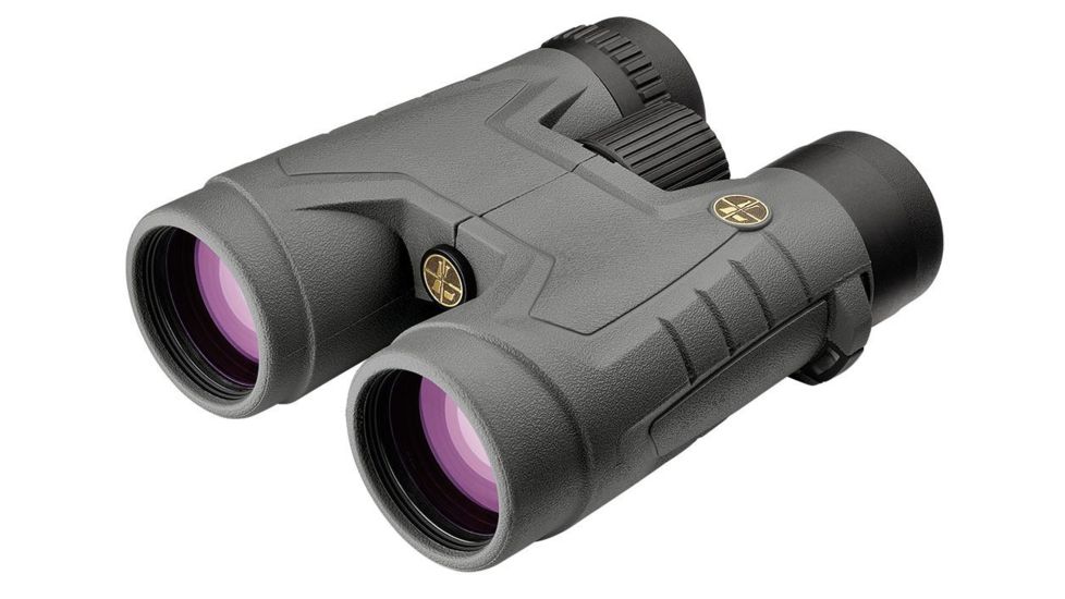 Leupold BX-2 Acadia 10x42mm Roof Binoculars, Shadow Grey, 172700