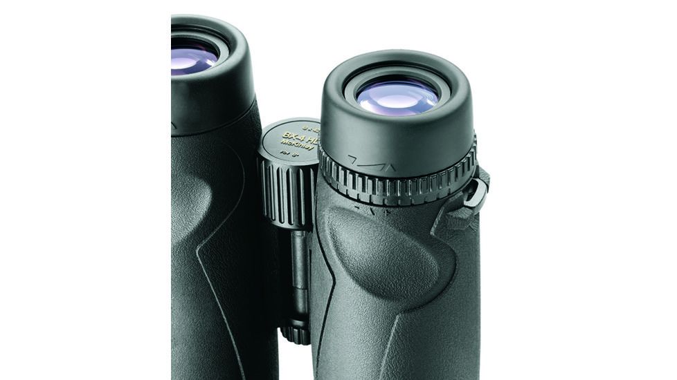 Leupold BX-4 McKinley HD 10X42mm Roof Prism Binoculars, Black 117790