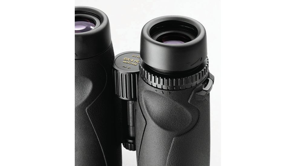 Leupold BX-4 McKinley HD 8X42mm Roof Prism Binoculars, Black 117789
