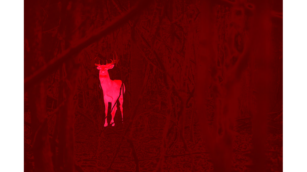 Leupold LTO-Tracker, 6x Digital Zoom Thermal Imaging Monocular, Black, 172830