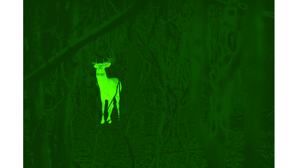 Leupold LTO-Tracker, 6x Digital Zoom Thermal Imaging Monocular, Black, 172830