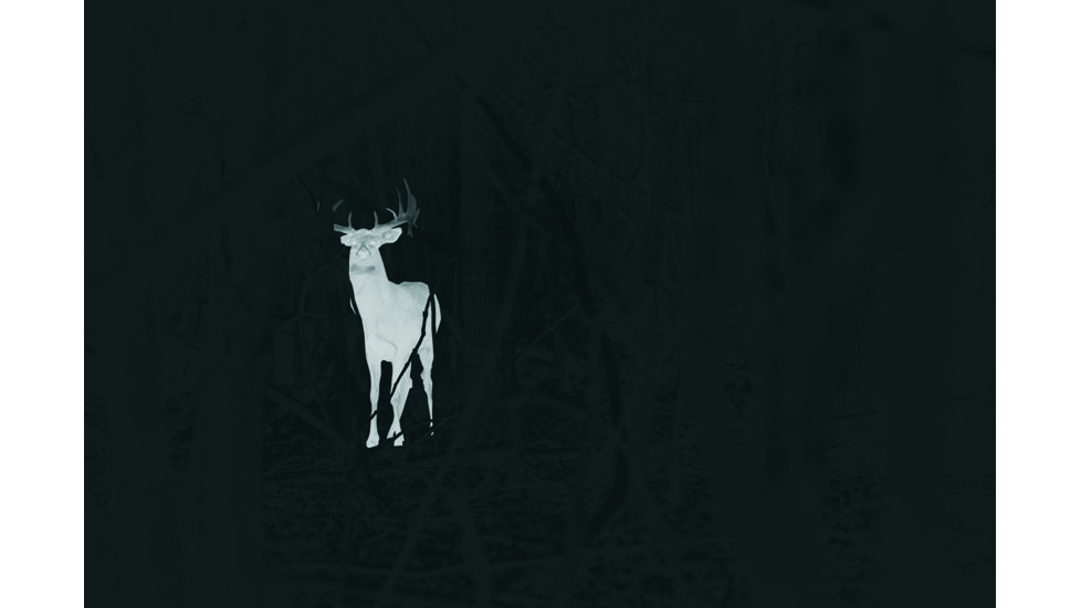 Leupold LTO-Tracker, 6x Digital Zoom Thermal Imaging Monocular, Black, 172830