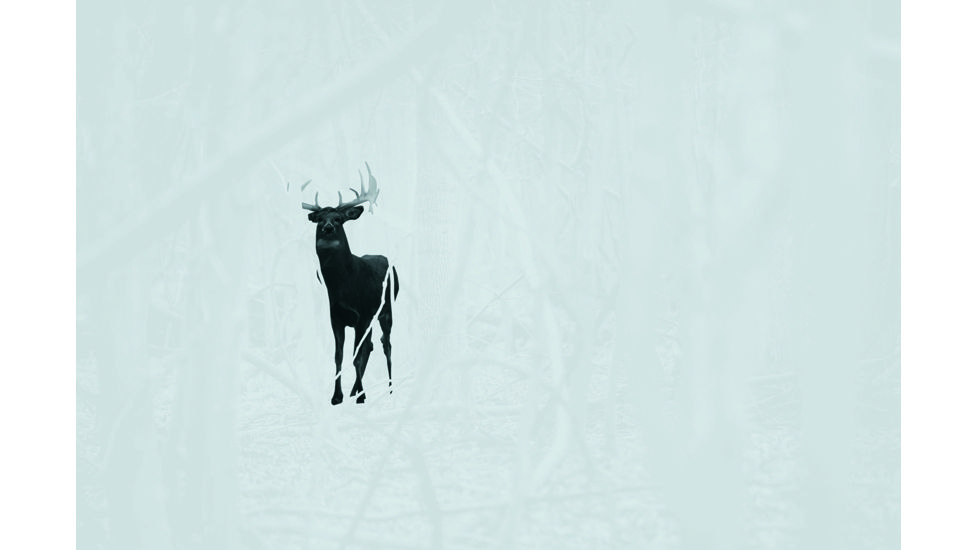 Leupold LTO-Tracker, 6x Digital Zoom Thermal Imaging Monocular, Black, 172830