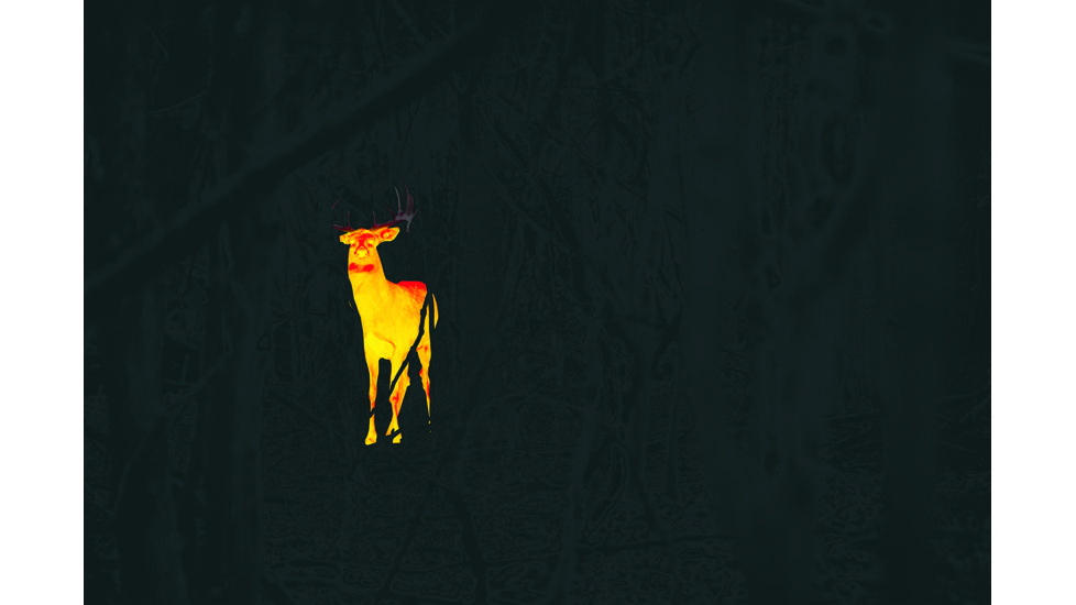 Leupold LTO-Tracker, 6x Digital Zoom Thermal Imaging Monocular, Black, 172830