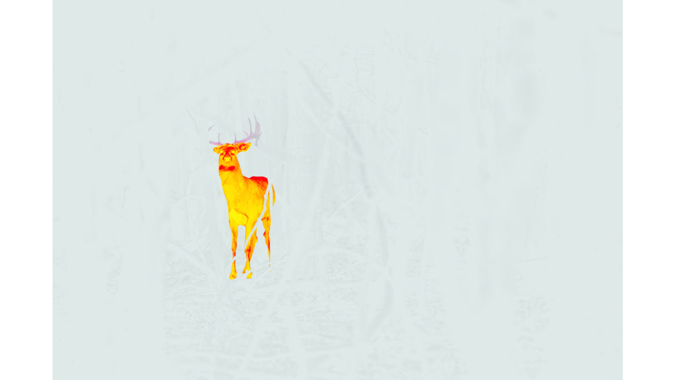 Leupold LTO-Tracker, 6x Digital Zoom Thermal Imaging Monocular, Black, 172830