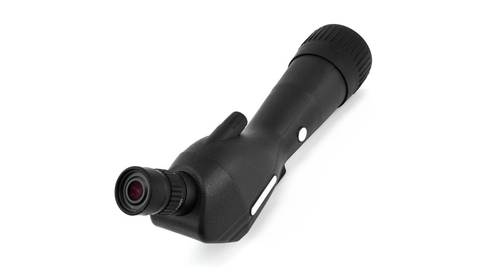 Leupold SX-1 Ventana 2 20-60x80mm Angled Gray/Black 170761
