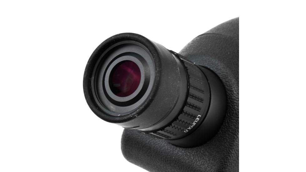 Leupold SX-1 Ventana 2 20-60x80mm Angled Gray/Black 170761