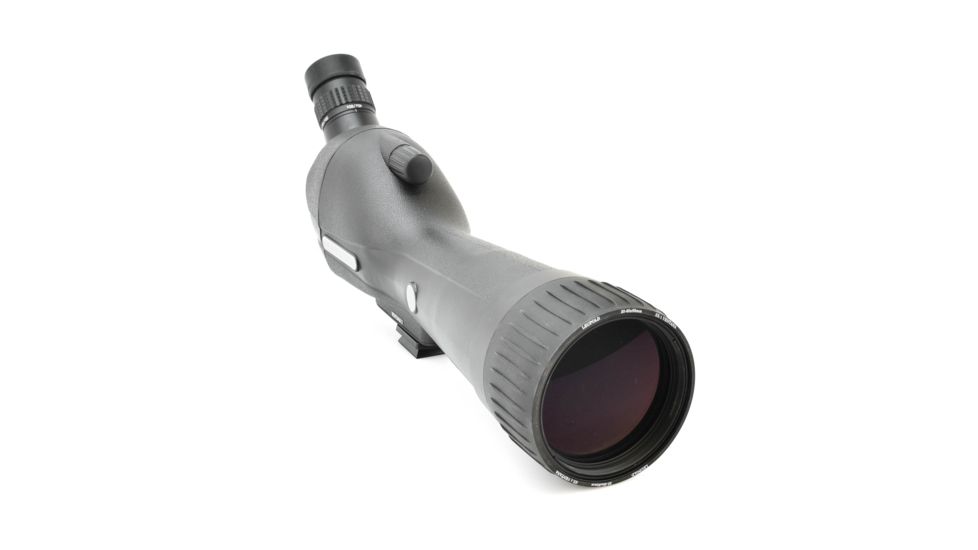 Leupold SX-1 Ventana 2 20-60x80mm Angled Kit Gray/Black 170762