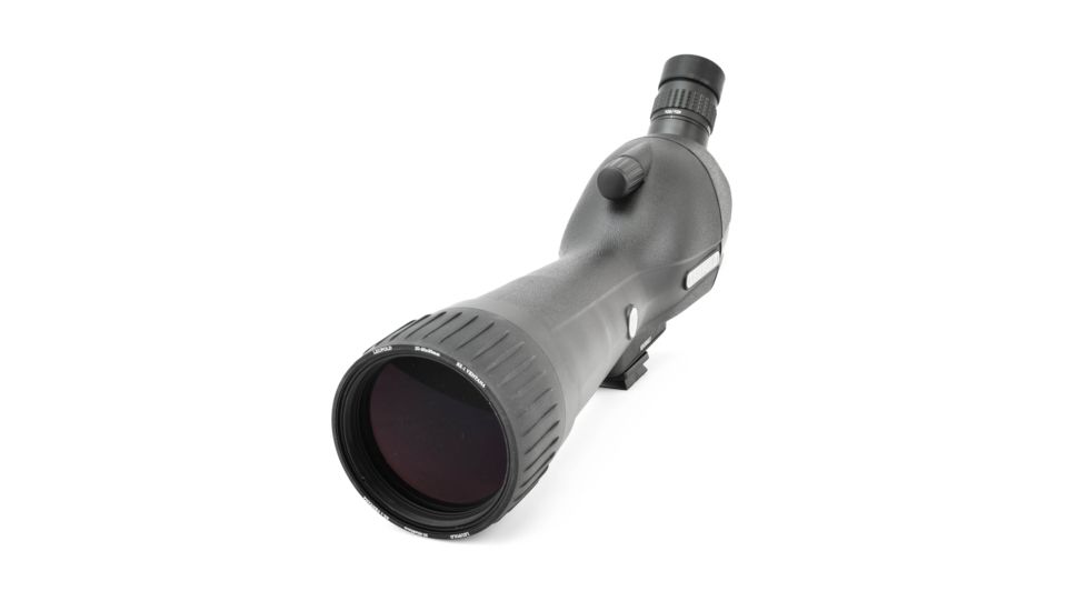 Leupold SX-1 Ventana 2 20-60x80mm Angled Kit Gray/Black 170762