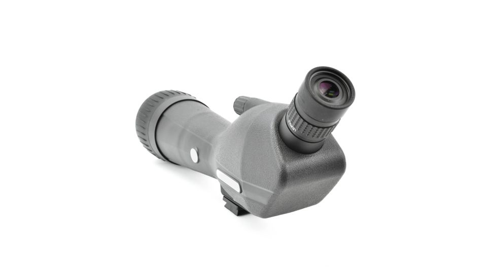 Leupold SX-1 Ventana 2 20-60x80mm Angled Kit Gray/Black 170762