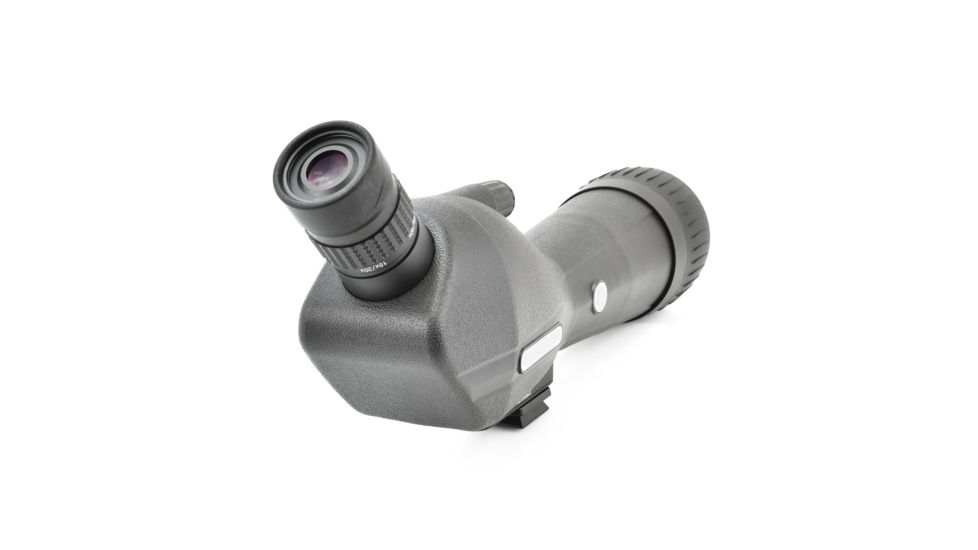 Leupold SX-1 Ventana 2 20-60x80mm Angled Kit Gray/Black 170762