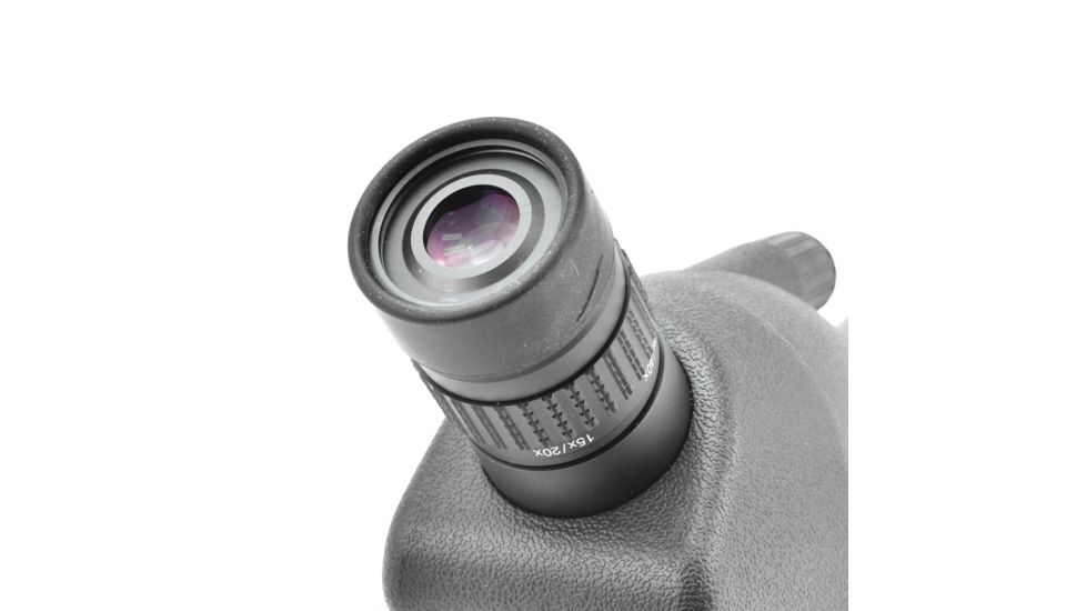 Leupold SX-1 Ventana 2 20-60x80mm Angled Kit Gray/Black 170762