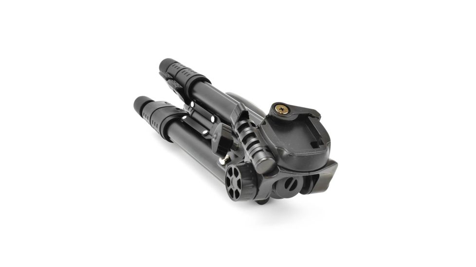 Leupold SX-1 Ventana 2 20-60x80mm Angled Kit Gray/Black 170762