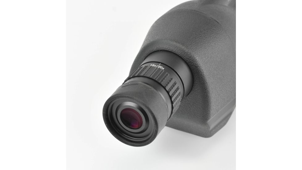 Leupold SX-1 Ventana 2 20-60x80mm Kit Gray/Black 170760